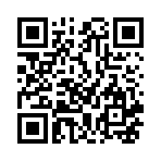 QNAP TS-h2483XU-RP-E2236-128G